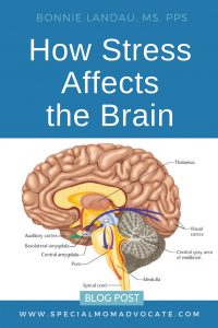 How Stress Affects the Brain and Hampers Learning