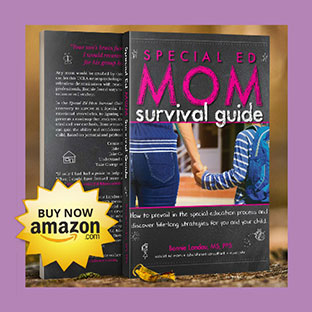 Special Education Mom Survival Guide book