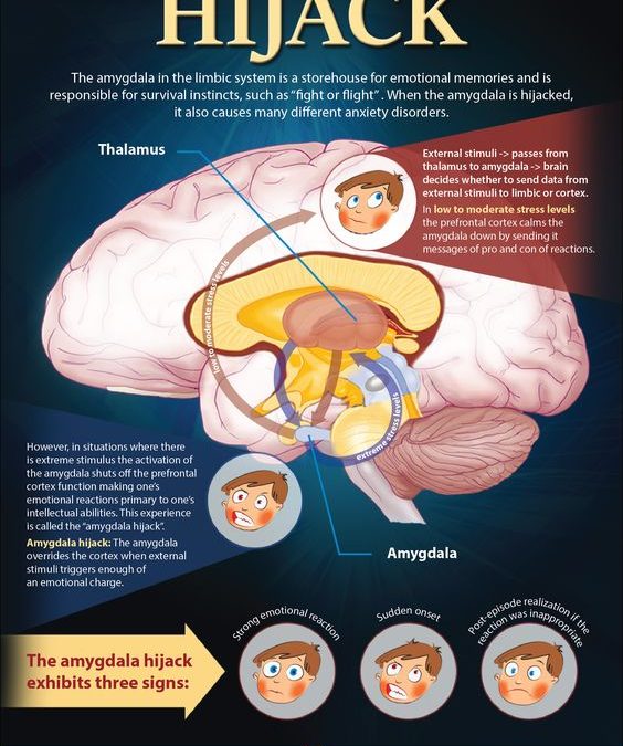 How Stress Affects the Brain and Hampers Learning