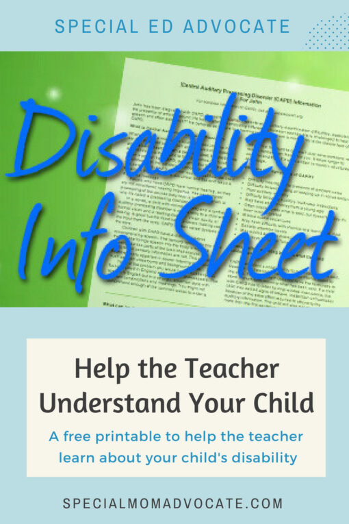 Disability Info Worksheet