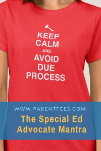 Keep Calm and Avoid Due Process T-shirt