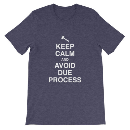 Keep Calm and Avoid Due Process Unisex T-Shirt - Image 5