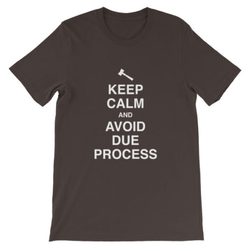 Keep Calm and Avoid Due Process Unisex T-Shirt - Image 3