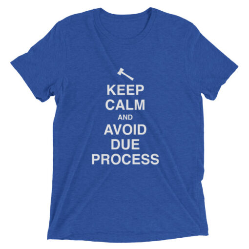 Keep Calm and Avoid Due Process Unisex T-Shirt - Image 6