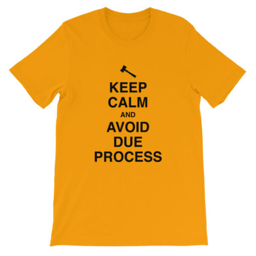 Keep Calm and Avoid Due Process Unisex T-Shirt - Image 7