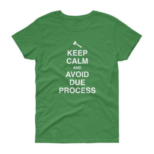 Keep Calm and Avoid Due Process Women's T-Shirt - Image 6