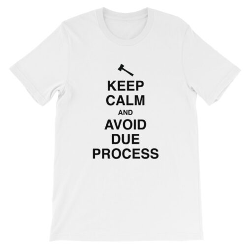 Keep Calm and Avoid Due Process Unisex T-Shirt - Image 2