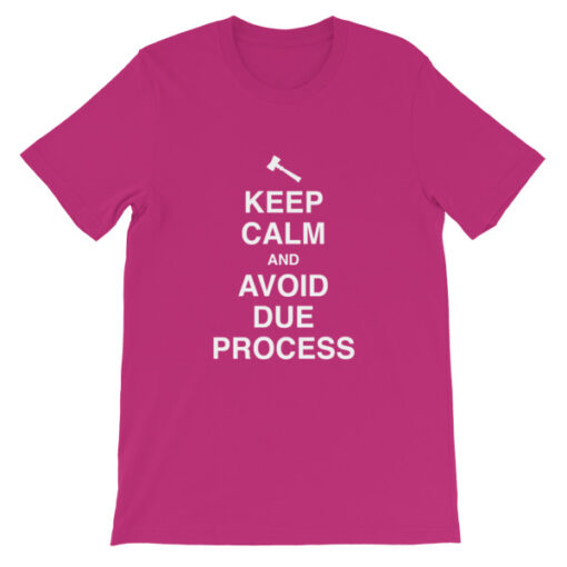 Keep Calm and Avoid Due Process Unisex T-Shirt - Image 13