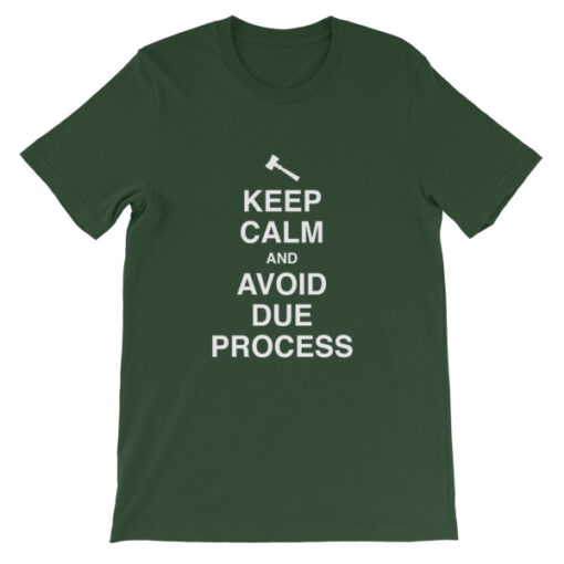 Keep Calm and Avoid Due Process Unisex T-Shirt - Image 8