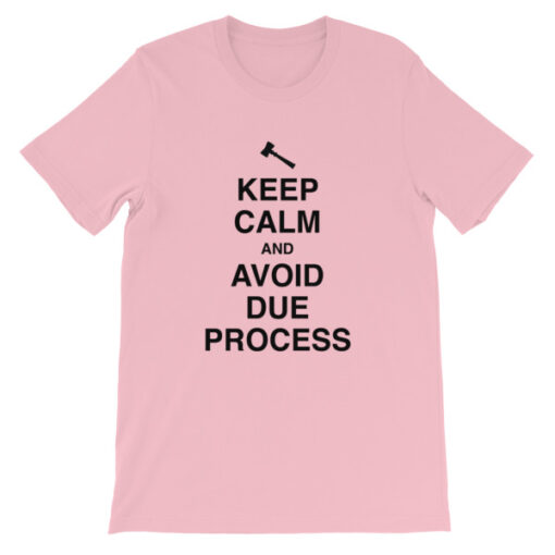 Keep Calm and Avoid Due Process Unisex T-Shirt - Image 8