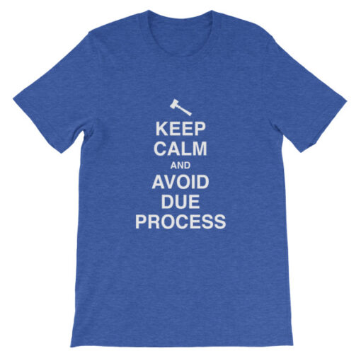 Keep Calm and Avoid Due Process Unisex T-Shirt - Image 12