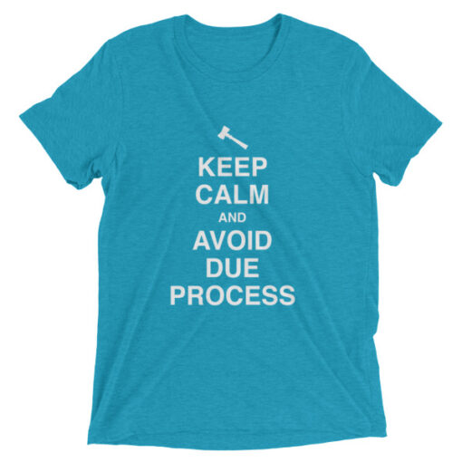 Keep Calm and Avoid Due Process Unisex T-Shirt