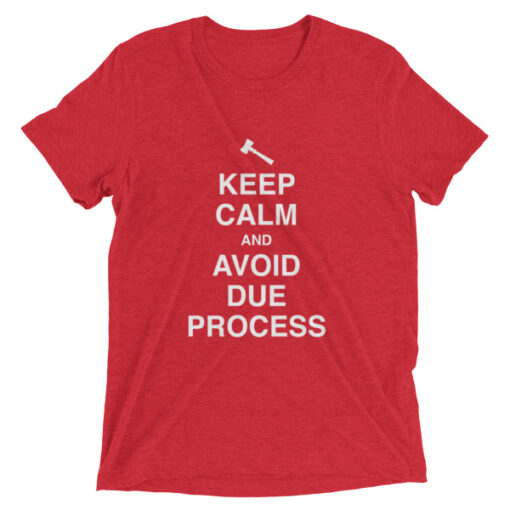 Keep Calm and Avoid Due Process Unisex T-Shirt - Image 9