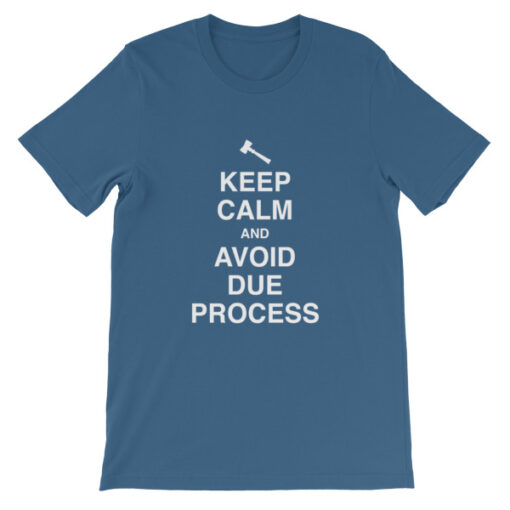 Keep Calm and Avoid Due Process Unisex T-Shirt - Image 9