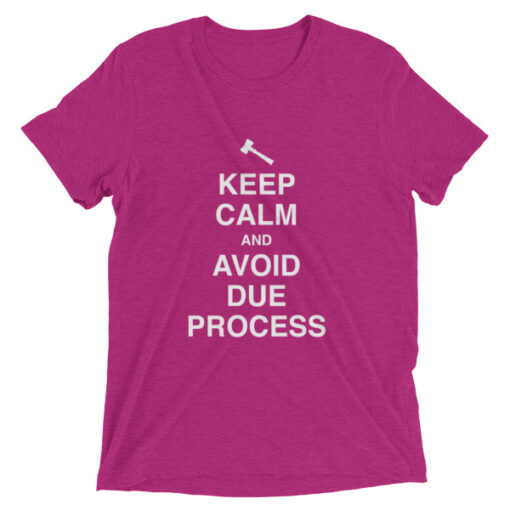 Keep Calm and Avoid Due Process Unisex T-Shirt - Image 8