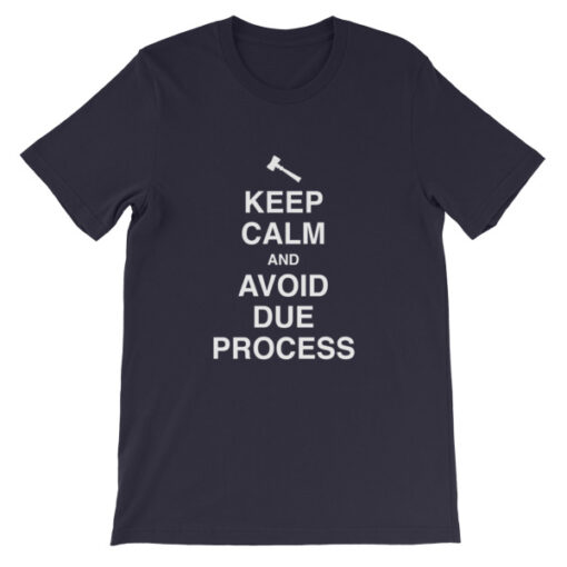 Keep Calm and Avoid Due Process Unisex T-Shirt - Image 7