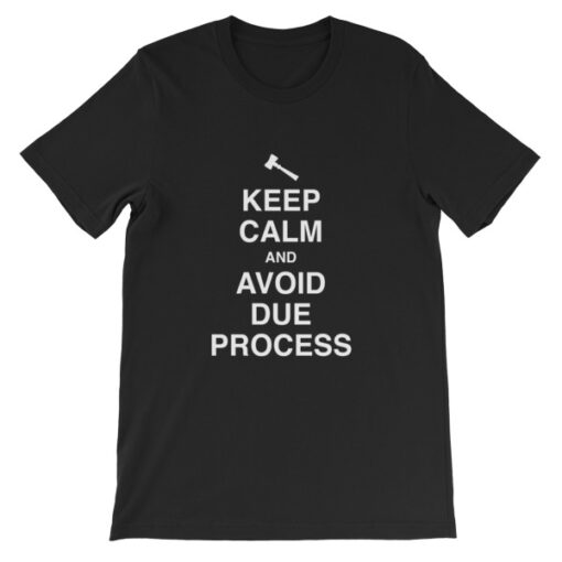 Keep Calm and Avoid Due Process Unisex T-Shirt - Image 2