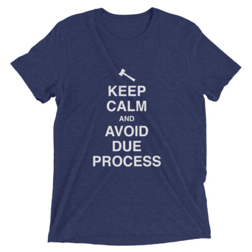 Keep Calm and Avoid Due Process Unisex T-Shirt - Image 4