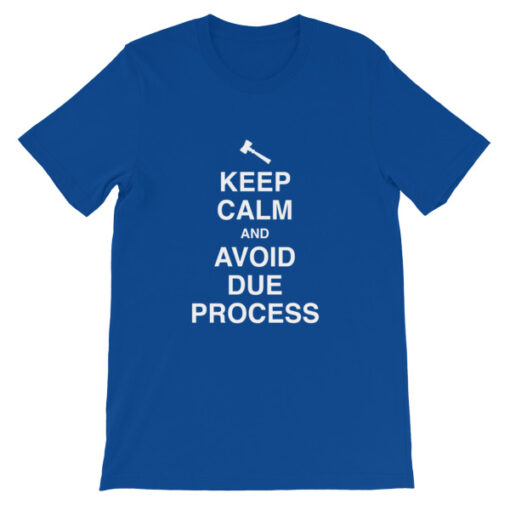 Keep Calm and Avoid Due Process Unisex T-Shirt - Image 11