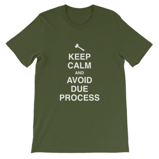 Keep Calm and Avoid Due Process Unisex T-Shirt - Image 6