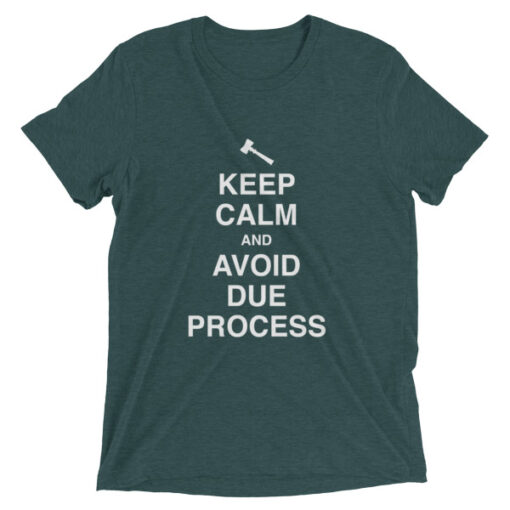 Keep Calm and Avoid Due Process Unisex T-Shirt - Image 2