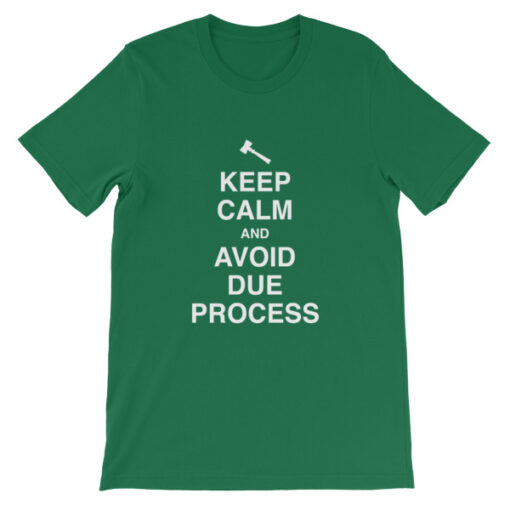 Keep Calm and Avoid Due Process Unisex T-Shirt - Image 10