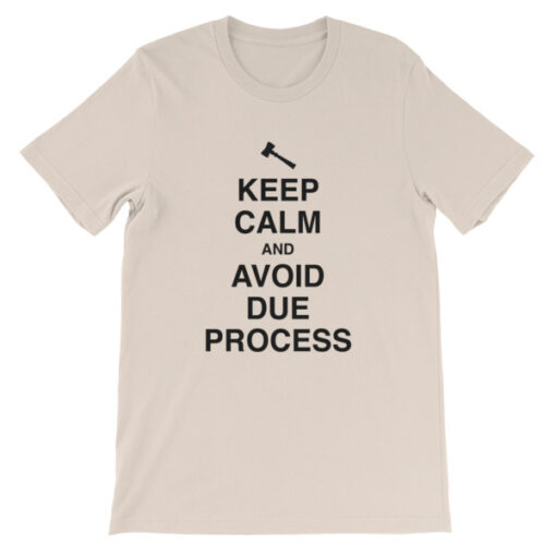 Keep Calm and Avoid Due Process Unisex T-Shirt - Image 3