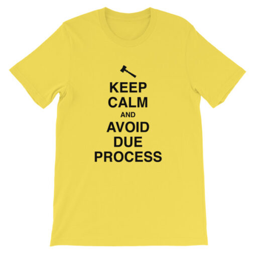 Keep Calm and Avoid Due Process Unisex T-Shirt - Image 6