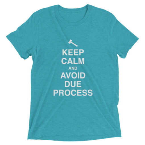 Keep Calm and Avoid Due Process Unisex T-Shirt - Image 5