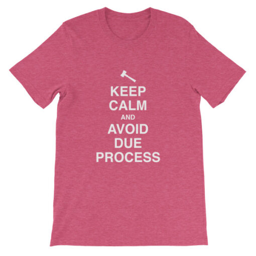 Keep Calm and Avoid Due Process Unisex T-Shirt - Image 14