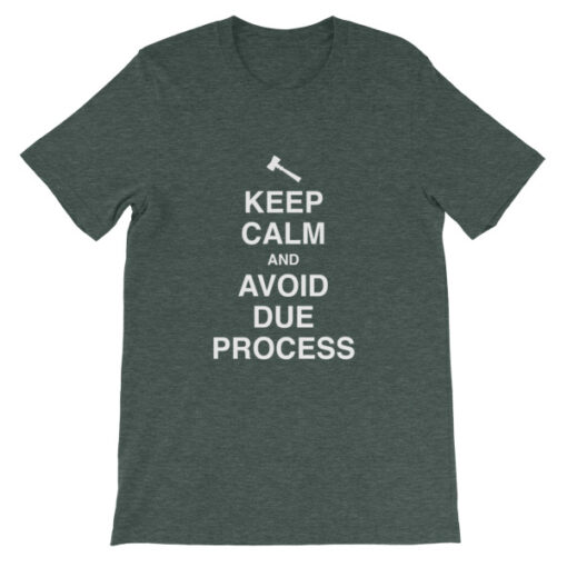 Keep Calm and Avoid Due Process Unisex T-Shirt - Image 4