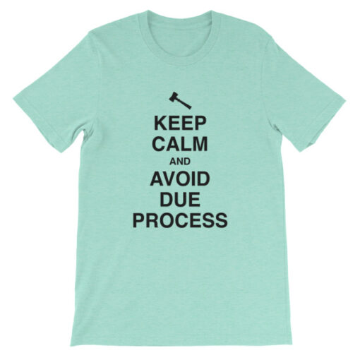 Keep Calm and Avoid Due Process Unisex T-Shirt - Image 5