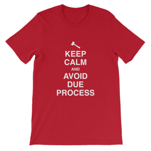 Keep Calm and Avoid Due Process Unisex T-Shirt