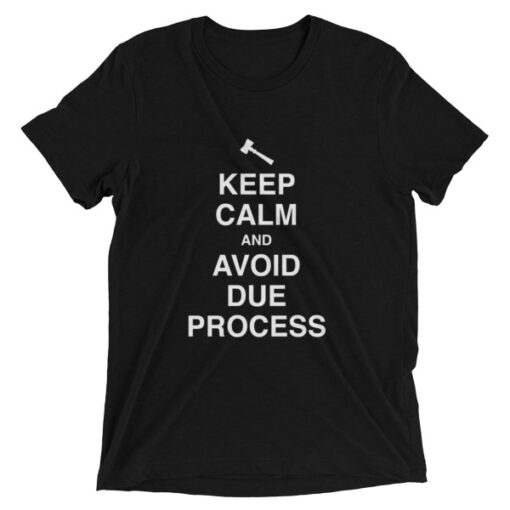 Keep Calm and Avoid Due Process Unisex T-Shirt - Image 3