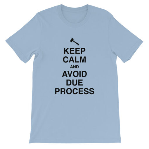 Keep Calm and Avoid Due Process Unisex T-Shirt - Image 4