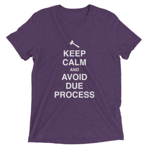 Keep Calm and Avoid Due Process Unisex T-Shirt - Image 7